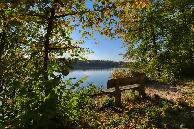 违规账号方 违规账号方