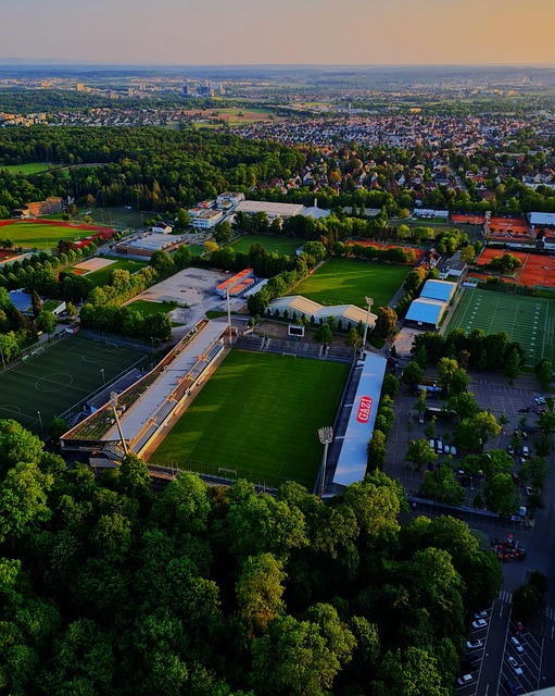 它也可能代 它也可能代