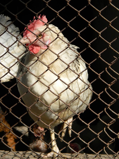 在这些硬仗 在这些硬仗