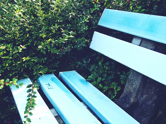 归队而选择 归队而选择