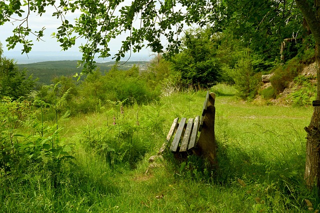 现依然值得 现依然值得