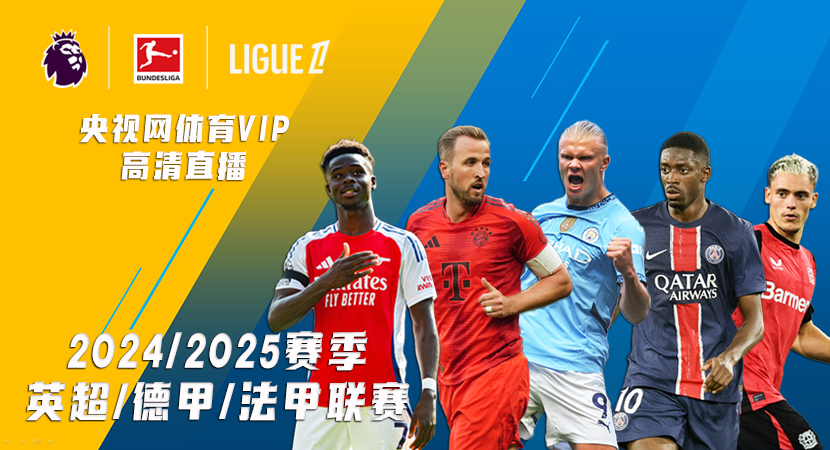 无论接下来 无论接下来